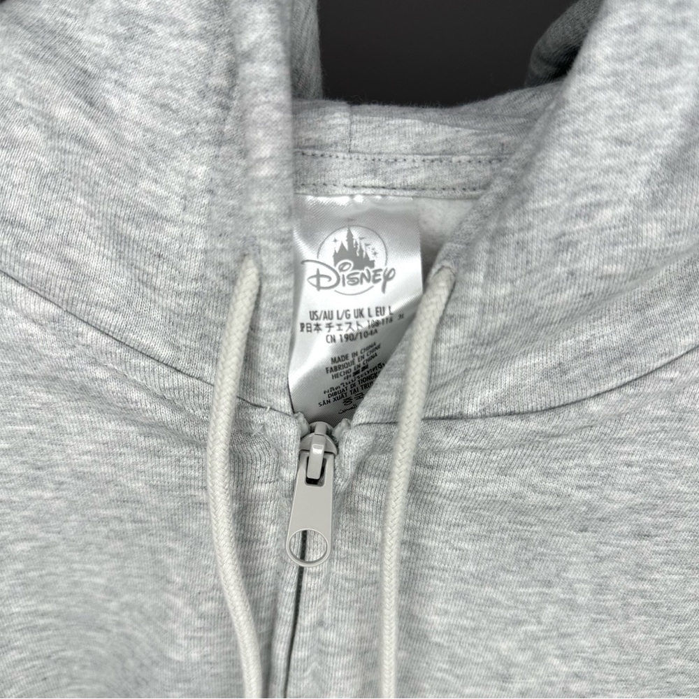Walt Disney World Disney Parks Icons Hoodie Adult L - Picture 7 of 7